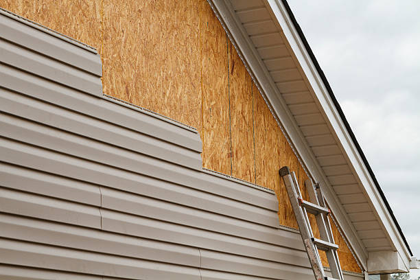 Professional Siding Contractor technician working in Jonesville, KY